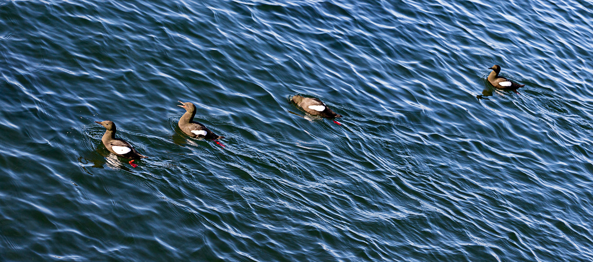 Oban  25 February 2023
