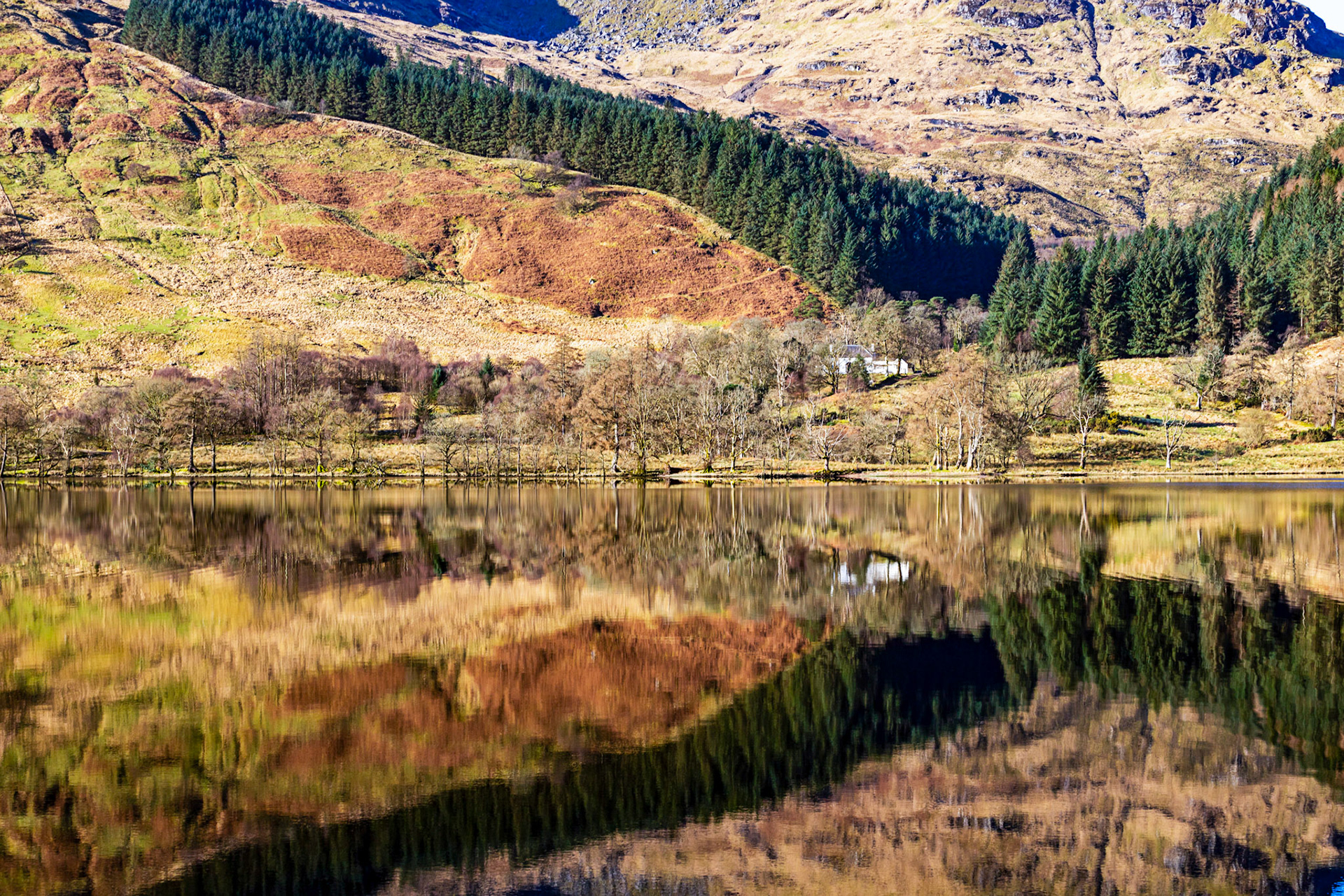 Loch Eck 26 February 2023
