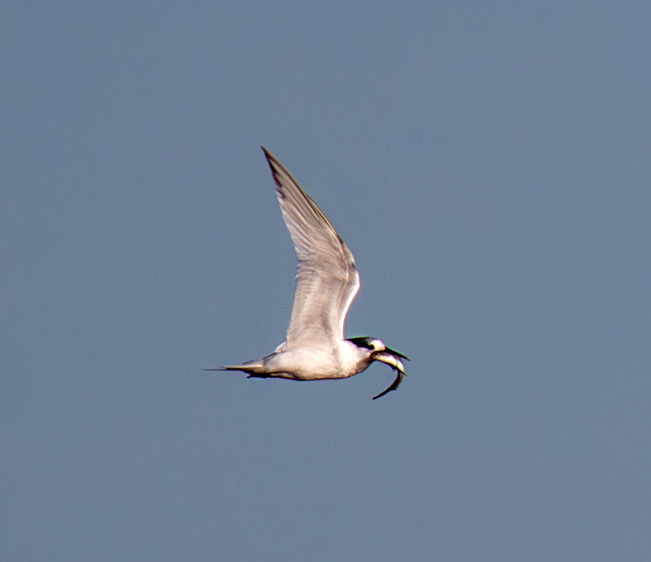 Sea next to Mussellburgh Lagoons 25 Sept 2024