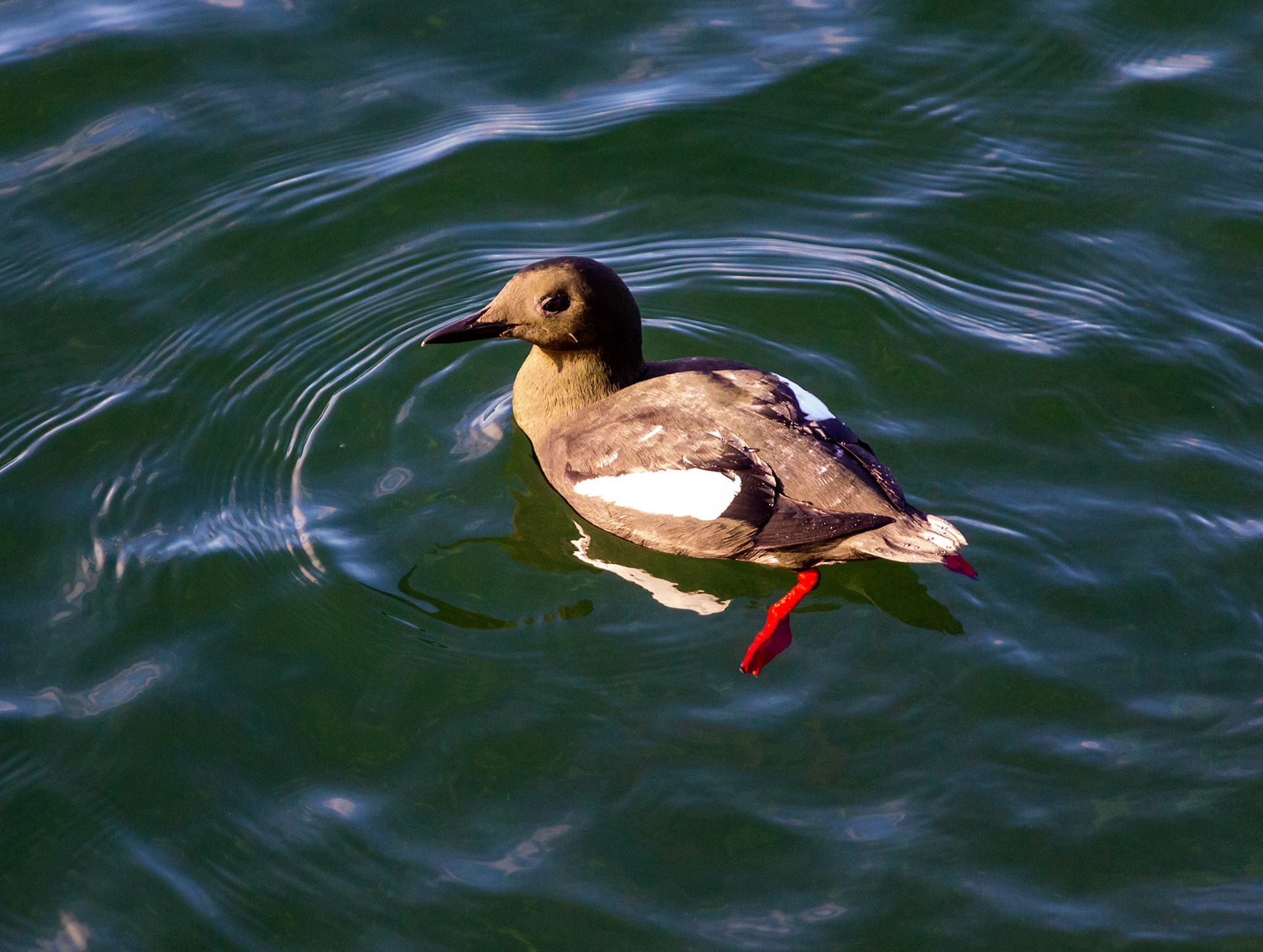 Oban  25 February 2023