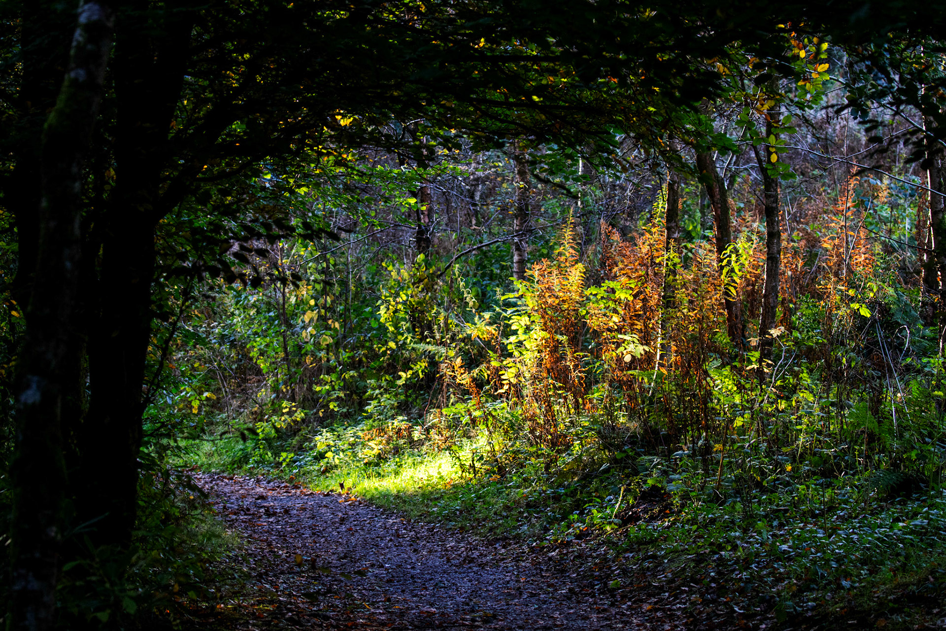 Polkemmet Country Park 10 October 2024