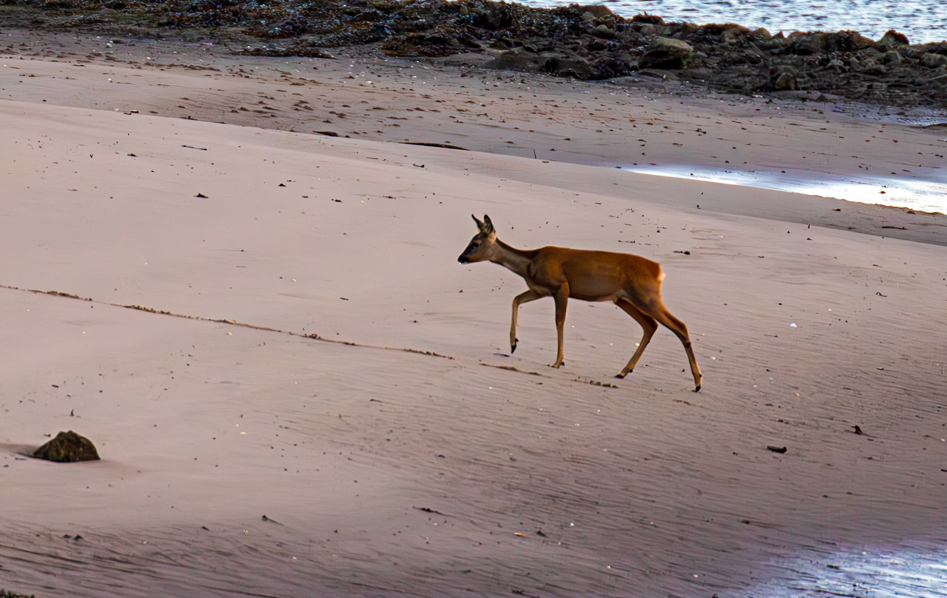 Irvine Sea Front 01 October 2024