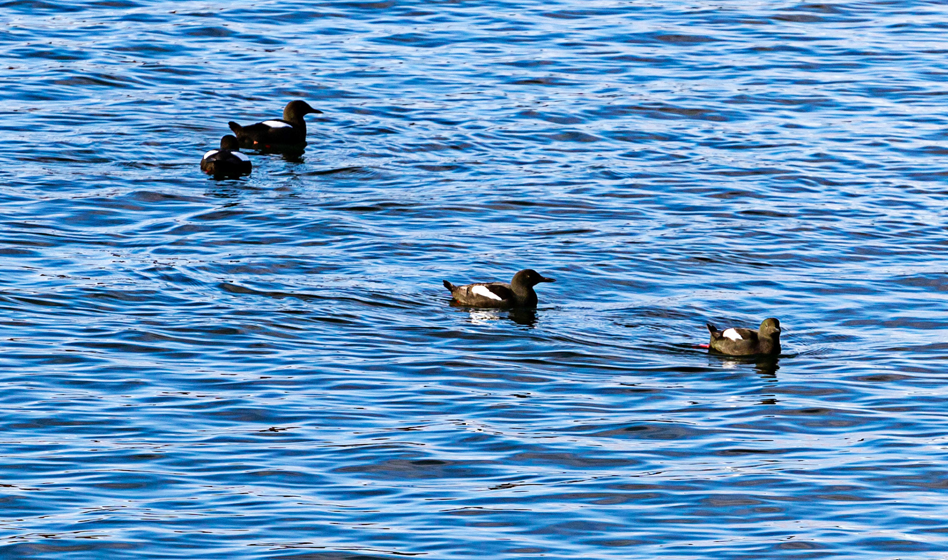 Oban  25 February 2023