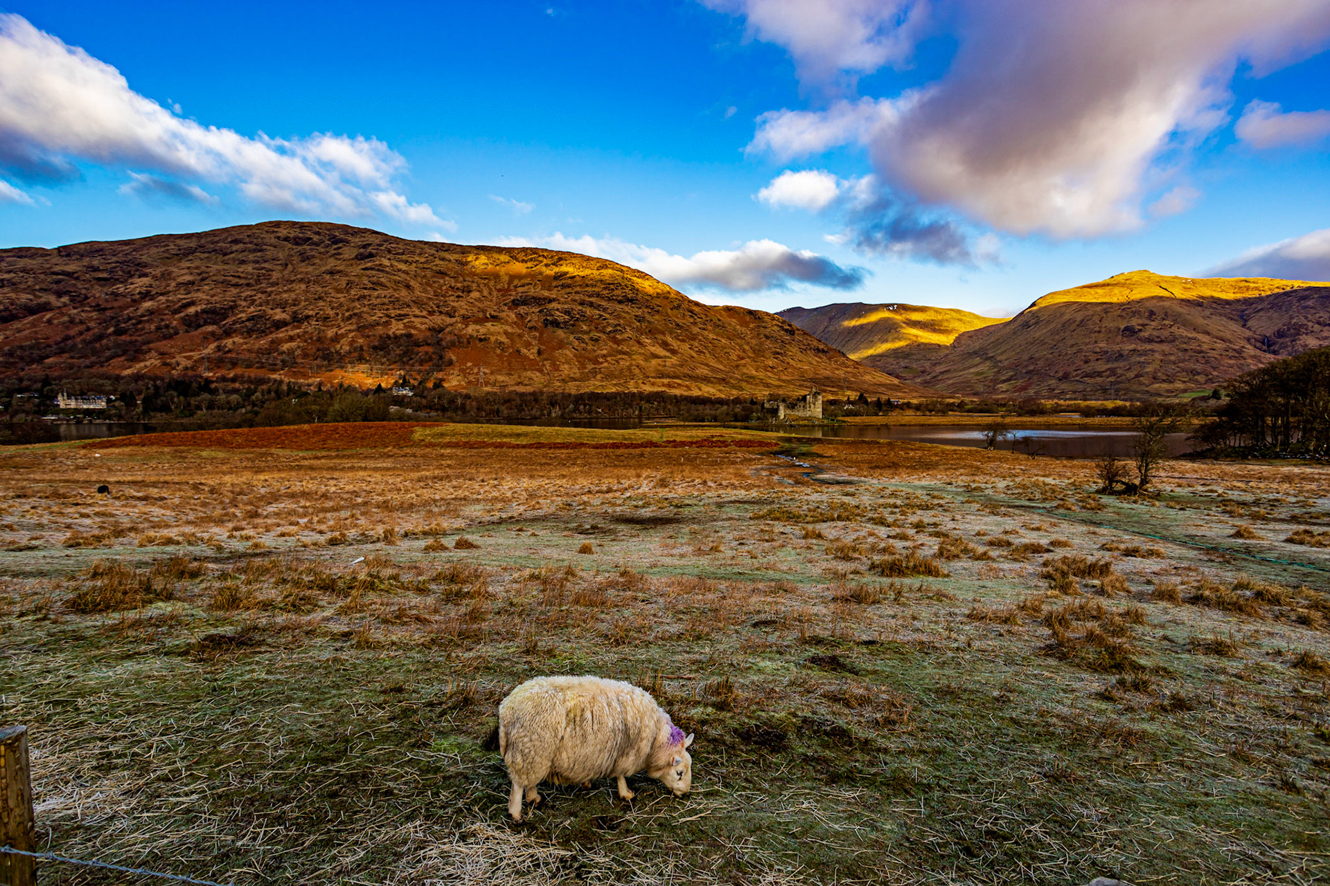Kilchurn Castle 25 February 2023