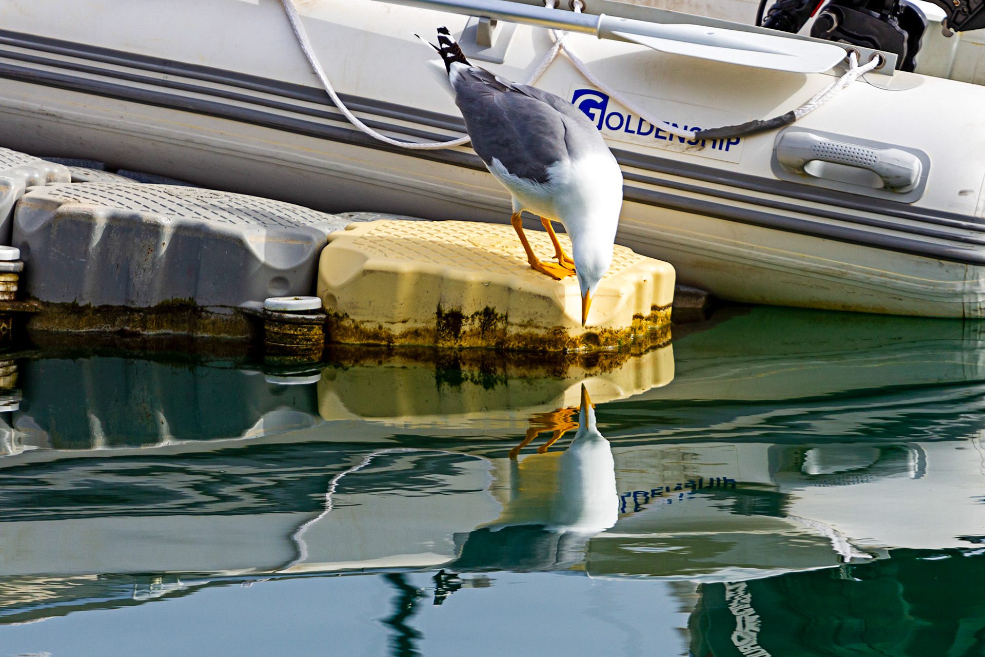 Alicante 19 March 2024