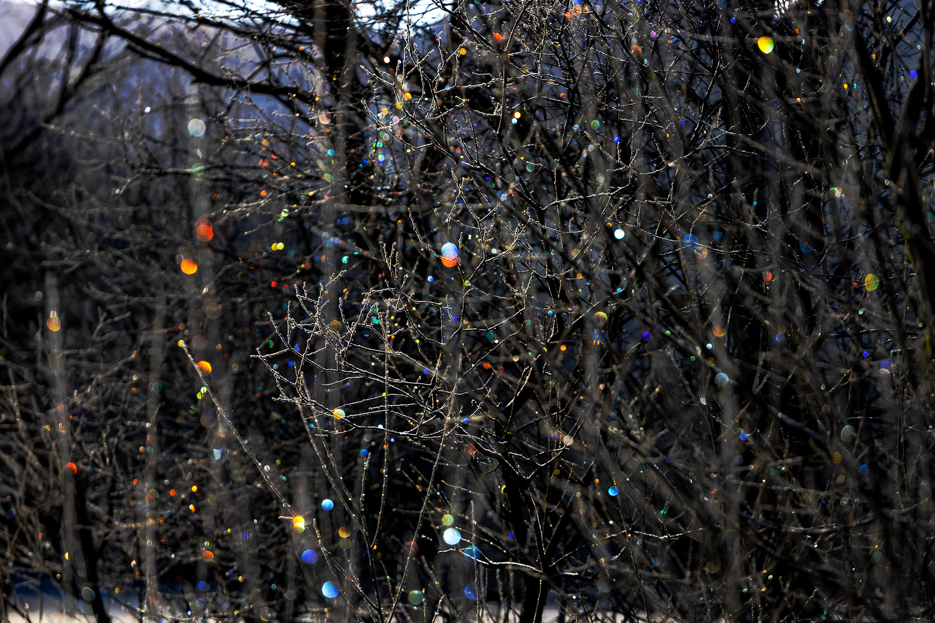 Frost in Gleann Mor 26 February 2023