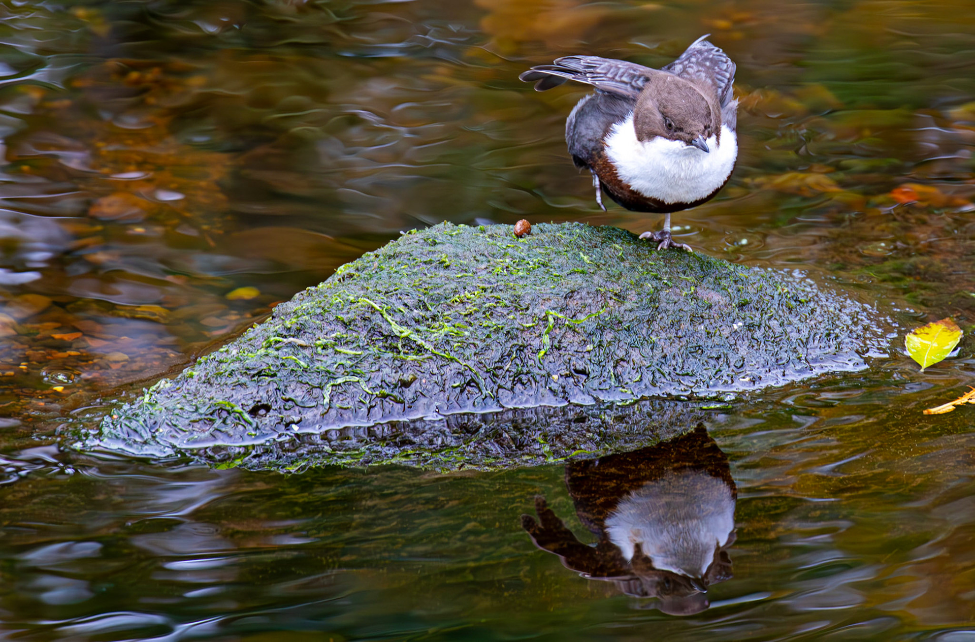 Largs 08 October 2024