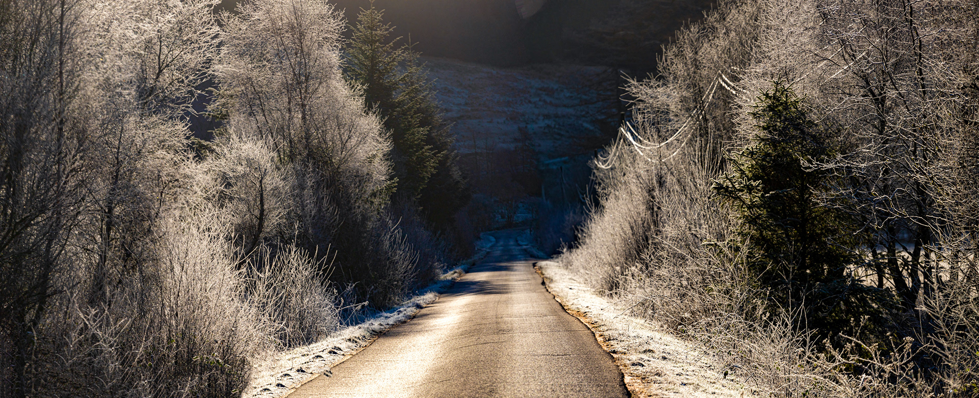 Frost in Gleann Mor 26 February 2023