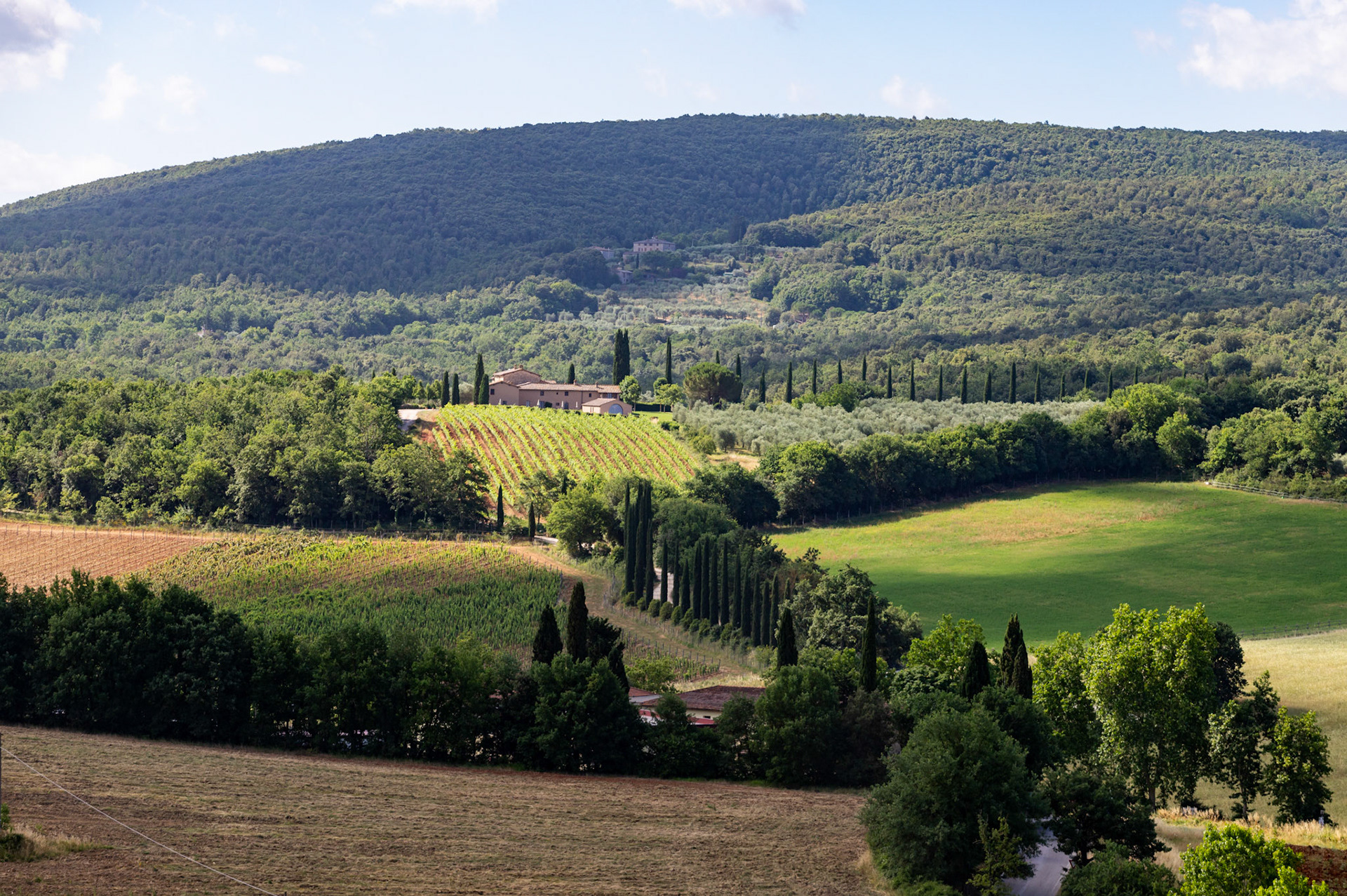Monteriggioni 22 June 2024