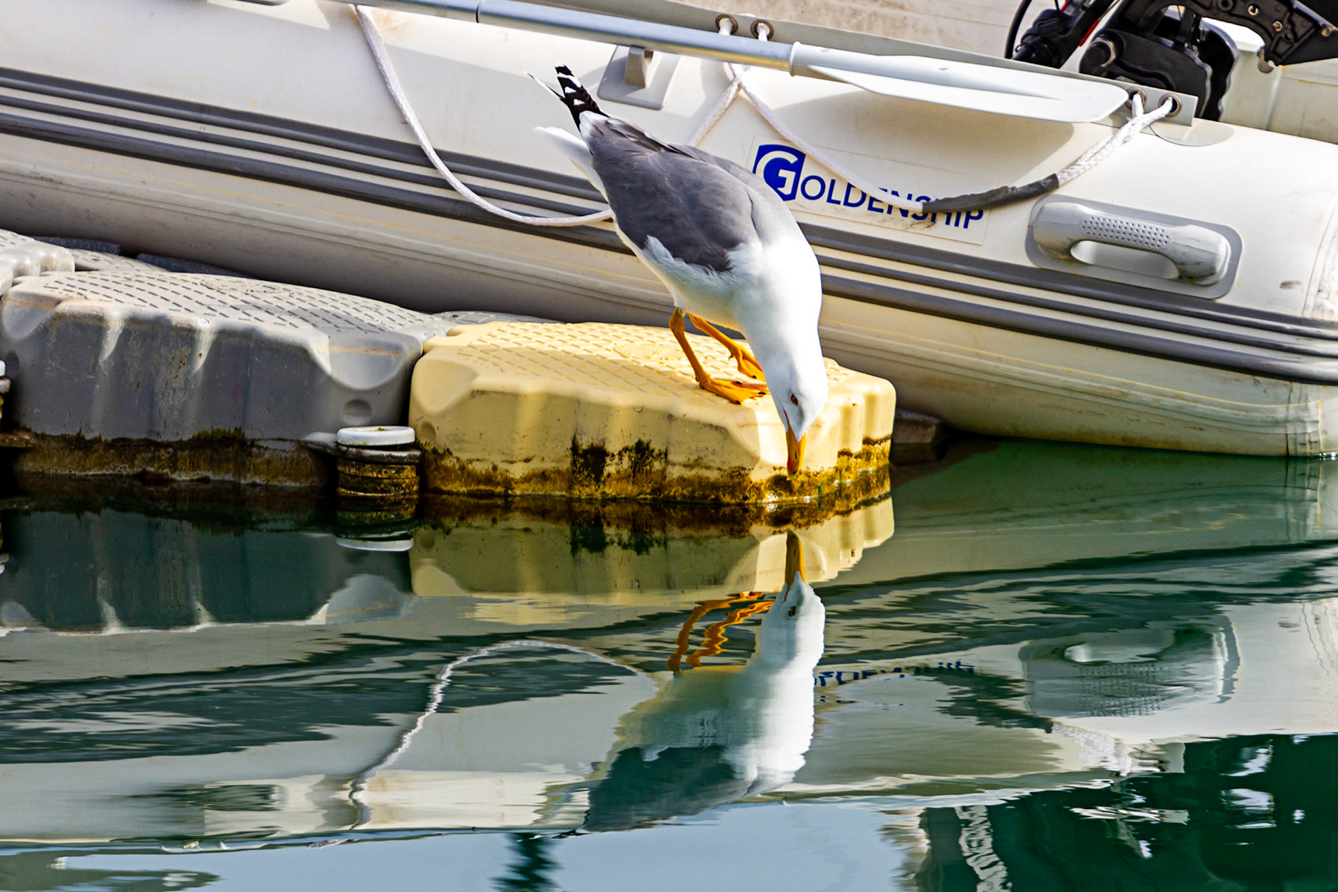 Alicante 19 March 2024