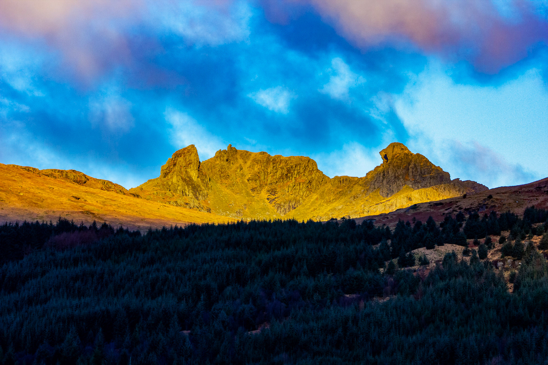 The Cobbler 25 February 2023