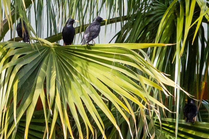 Alicante 17 March 2024