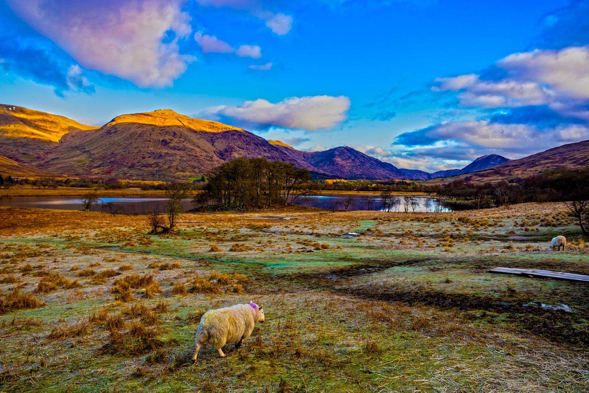 Kilchurn Castle 25 February 2023