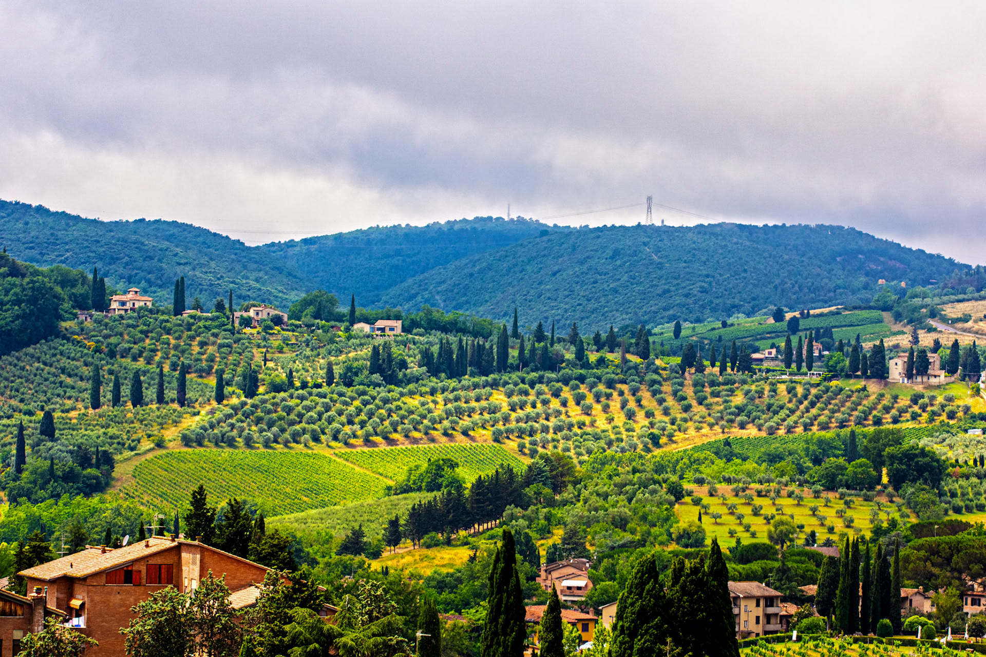 San Gimignano 24 June 2024
