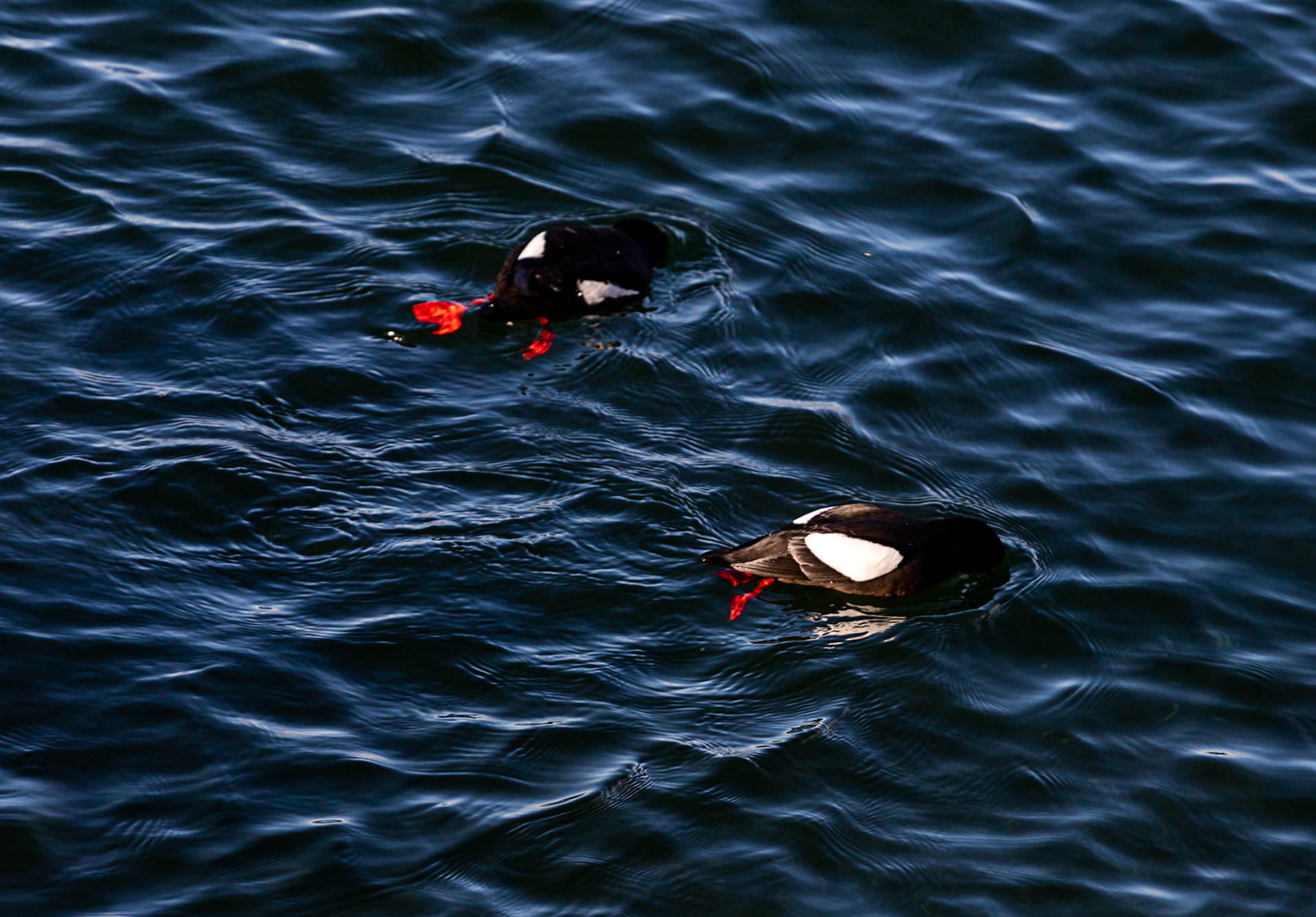 Oban  25 February 2023