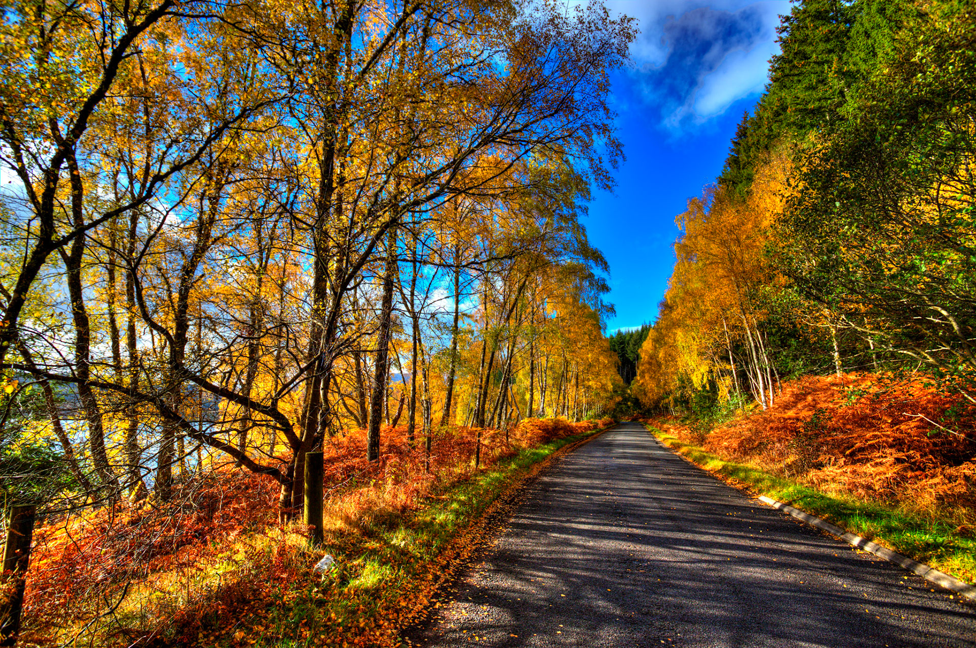 Loch Tummel. Autumnal Tour around Perthshire 19 October 2024