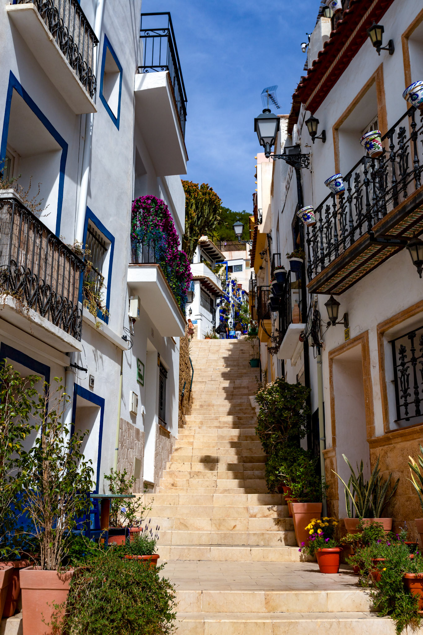 Alicante 17 March 2024