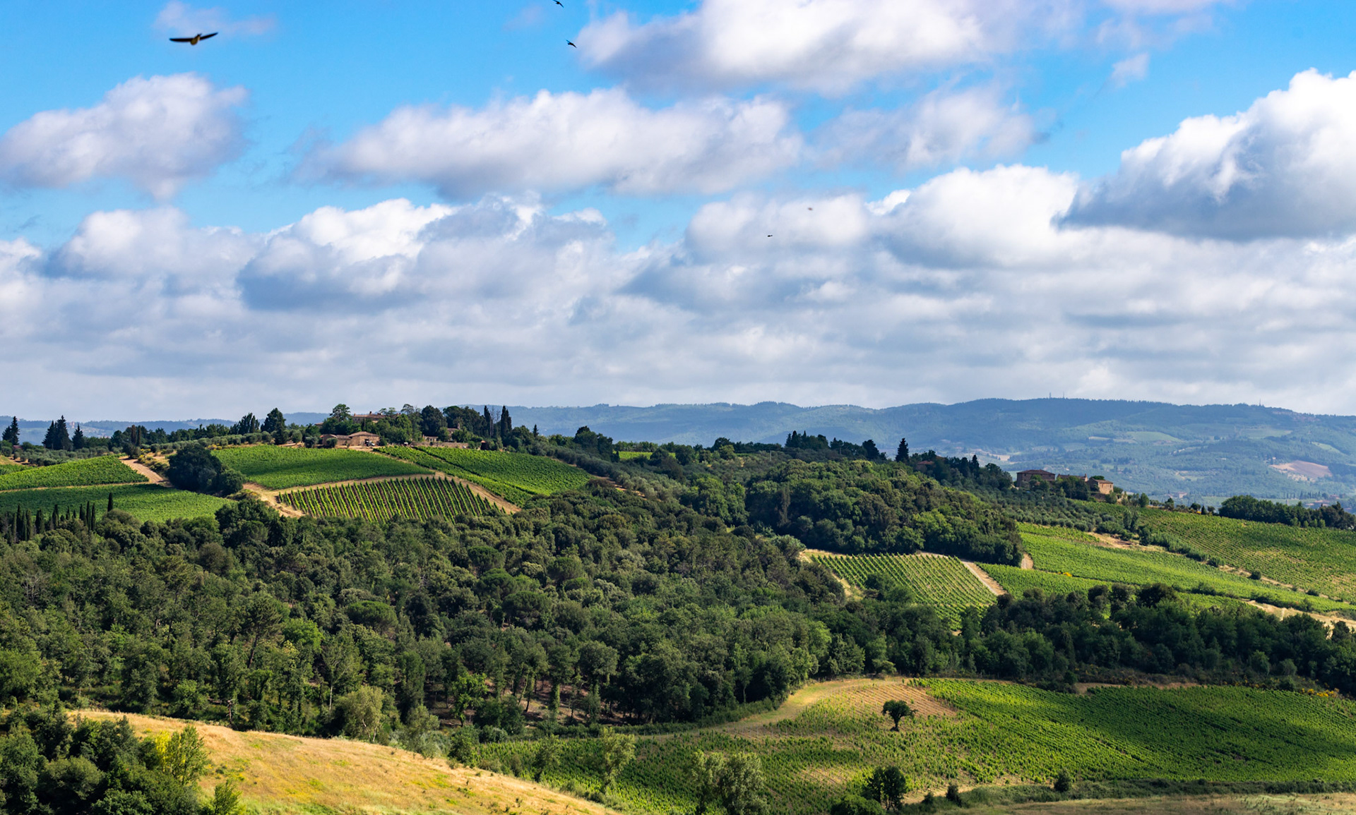 Monteriggioni 22 June 2024