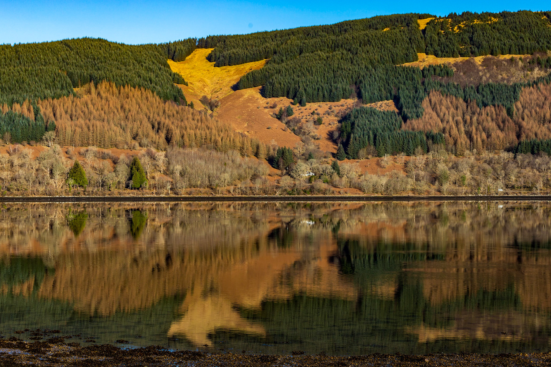 Inverary, Loch Fyne 26 February 2023