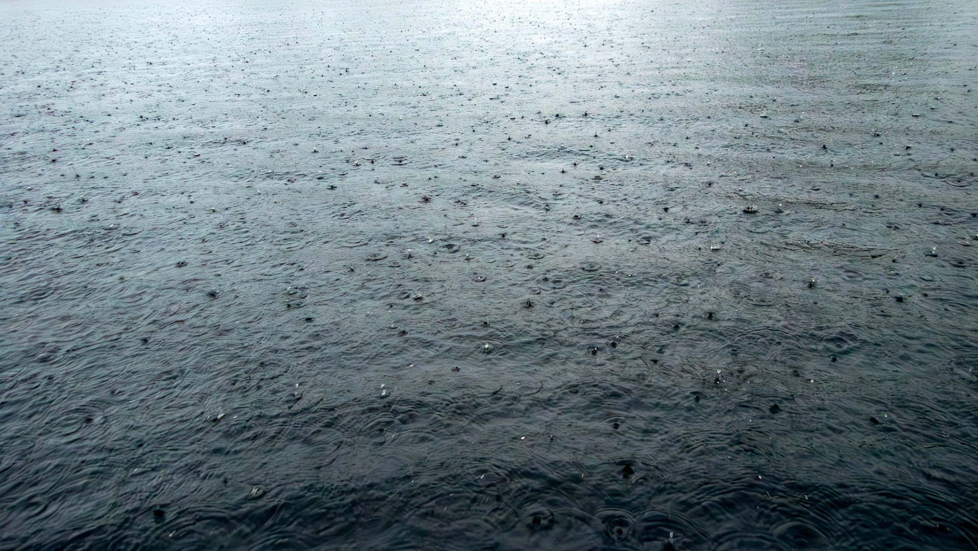 Harperrig 07 October 2024