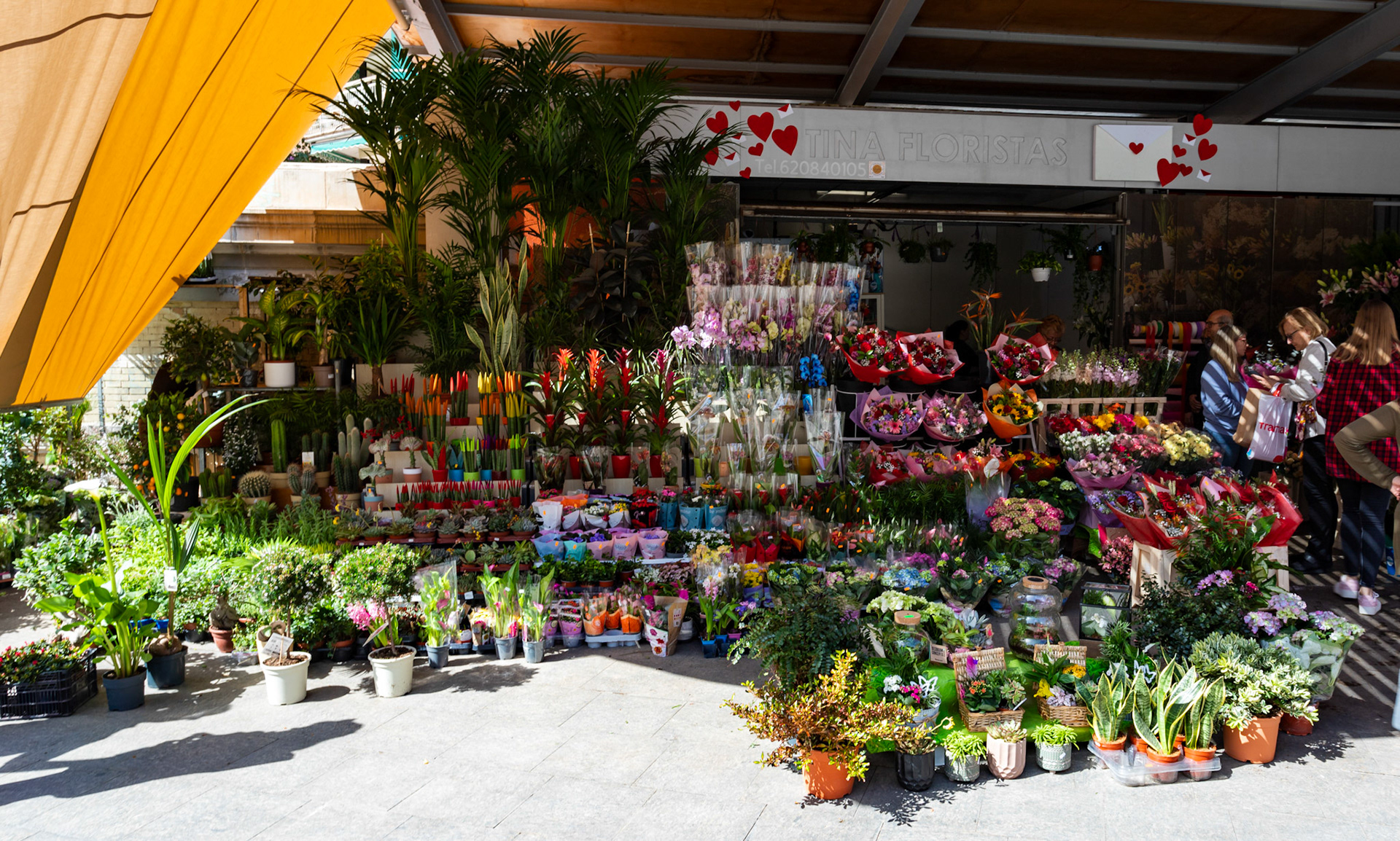Alicante Market 22 March 2024