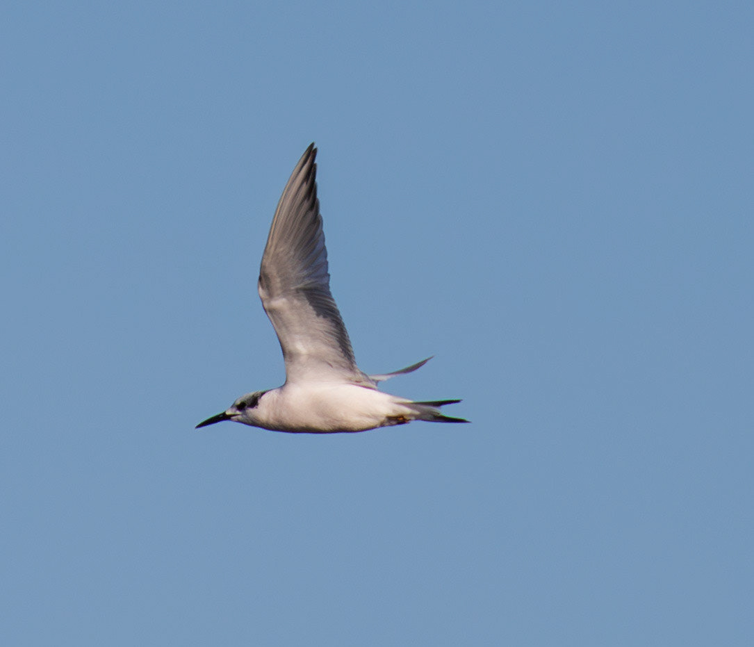 Sea next to Mussellburgh Lagoons 25 Sept 2024