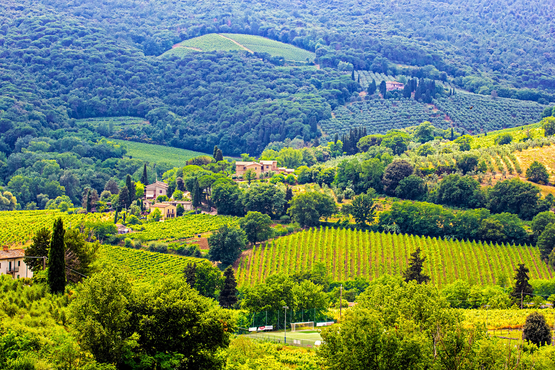 San Gimignano 24 June 2024