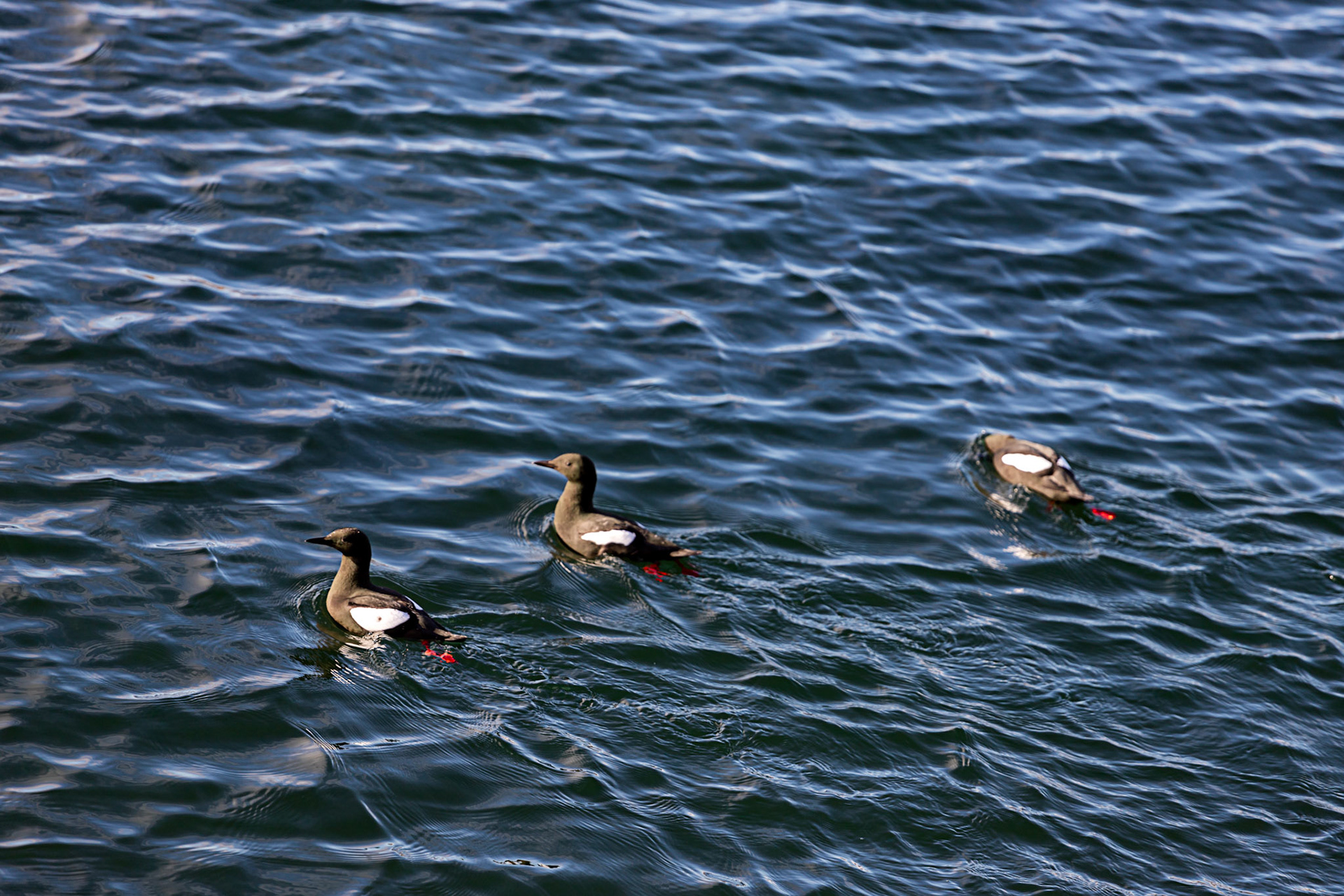 Oban  25 February 2023