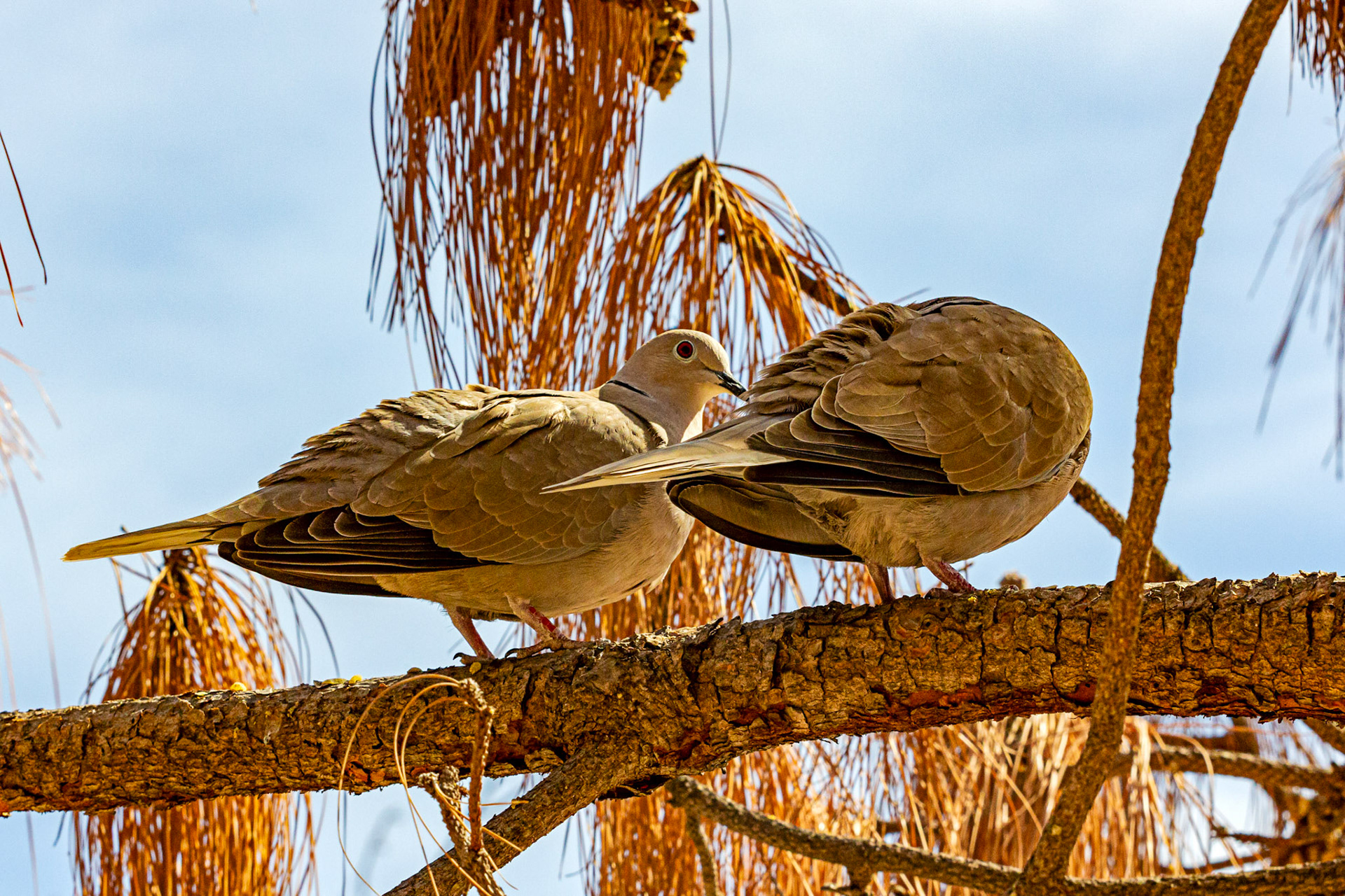 Alicante 17 March 2024