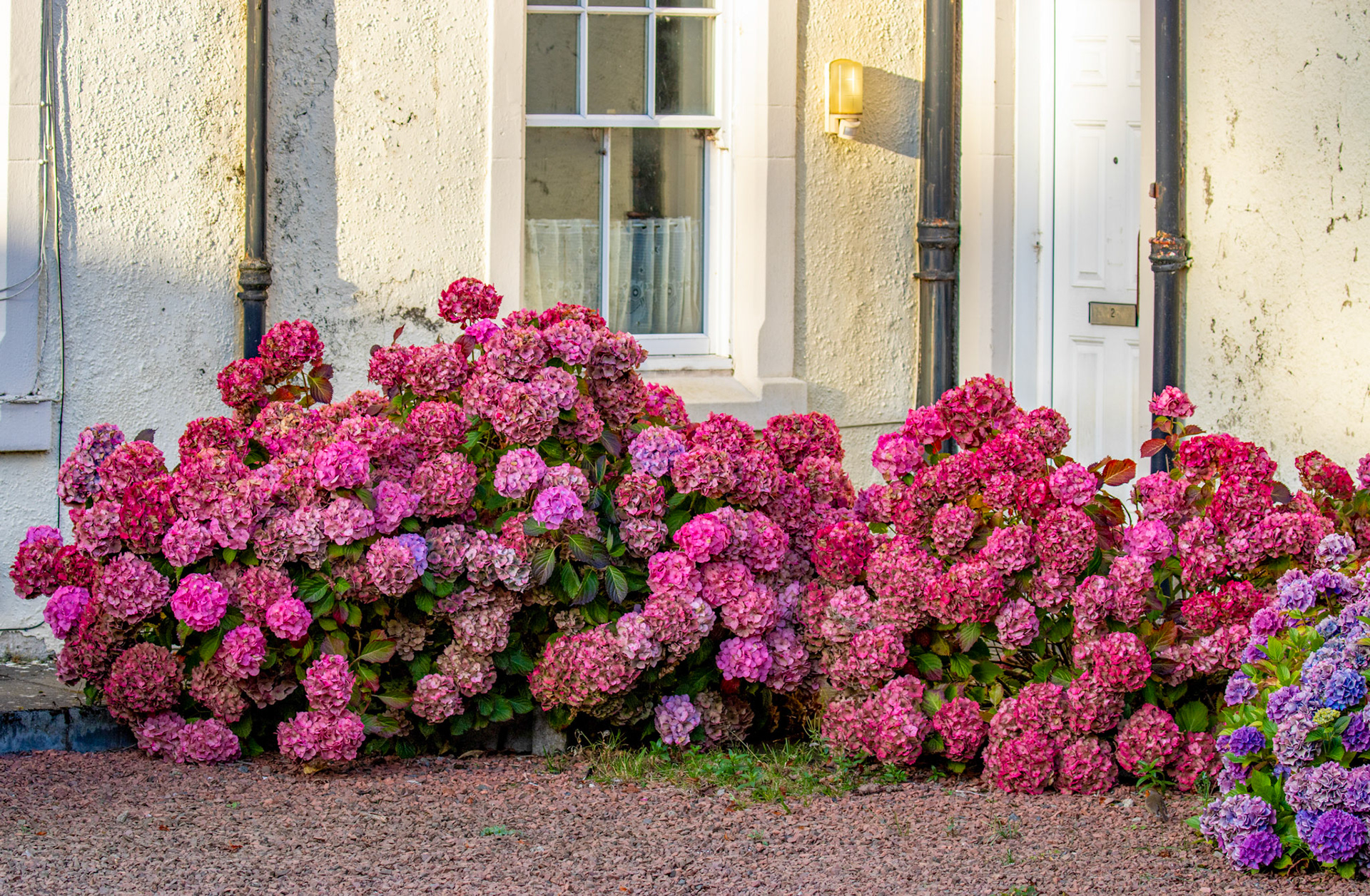 Polkemmet Country Park 10 October 2024