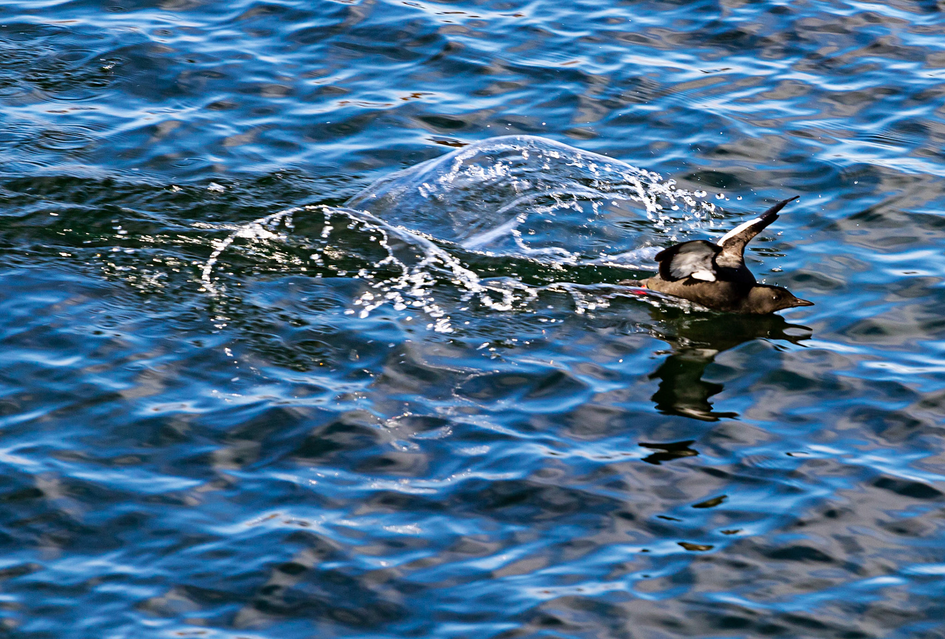 Oban  25 February 2023