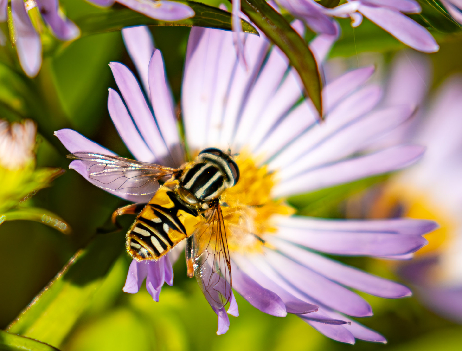 The Knock 12 Sept 2024