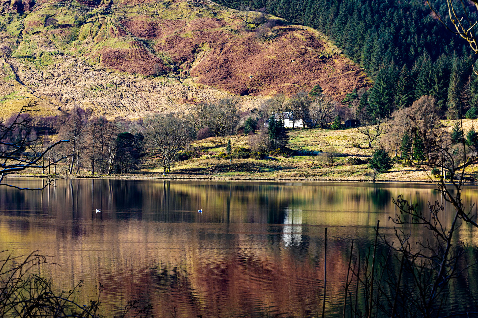 Loch Eck 26 February 2023