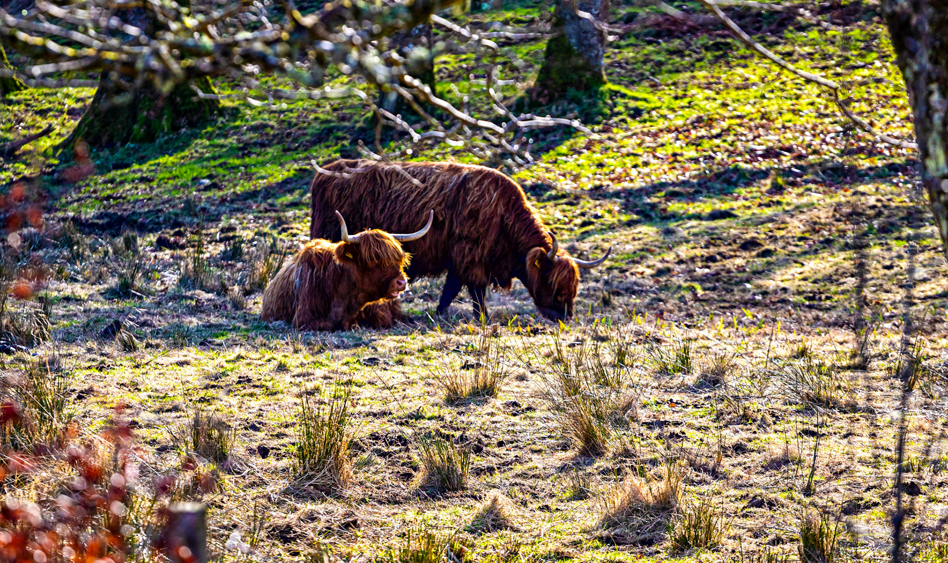 Loch Etive 25 February 2023