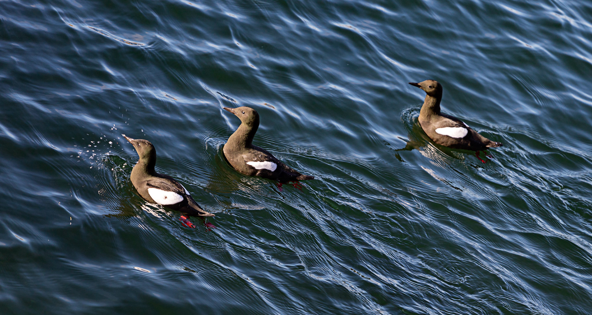 Oban  25 February 2023