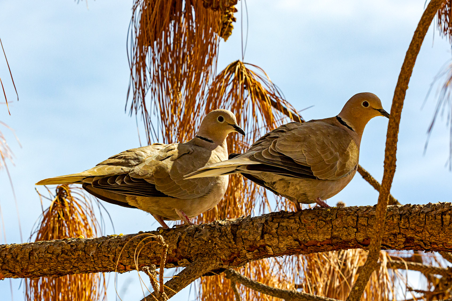 Alicante 17 March 2024