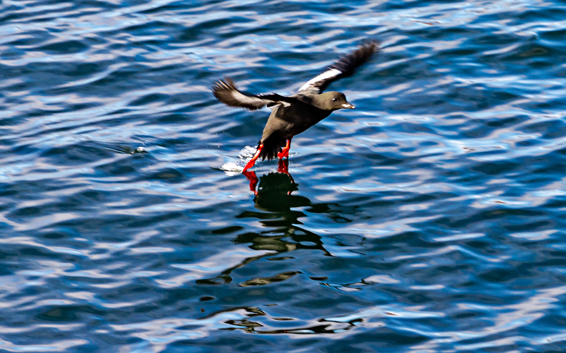 Oban  25 February 2023