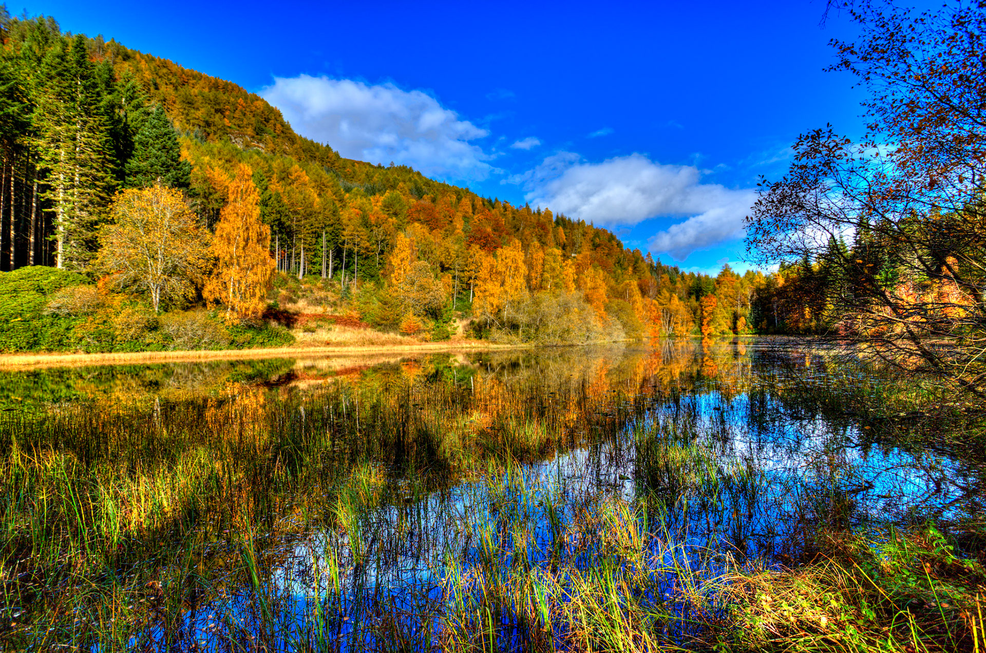 Polney Loch, Dunkeld. Autumnal Tour around Perthshire 19 October 2024