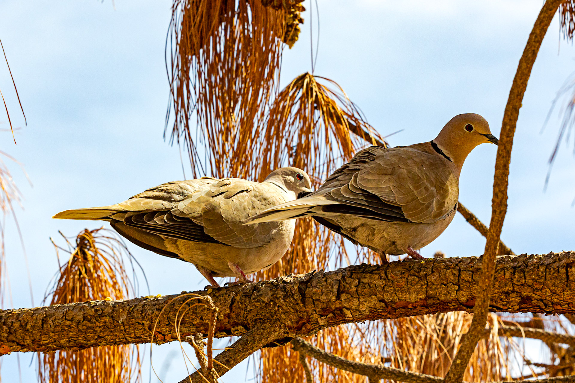 Alicante 17 March 2024