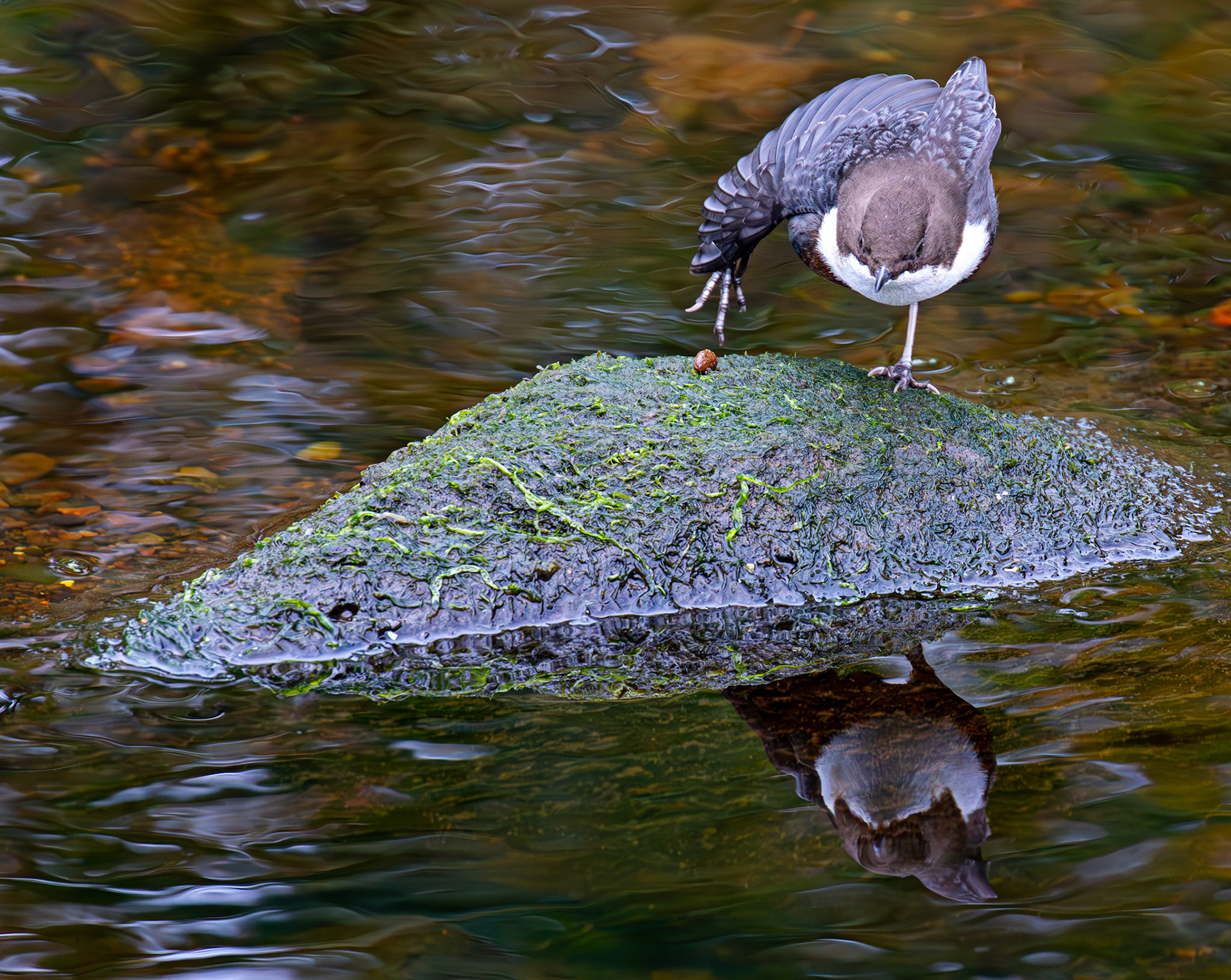 Largs 08 October 2024