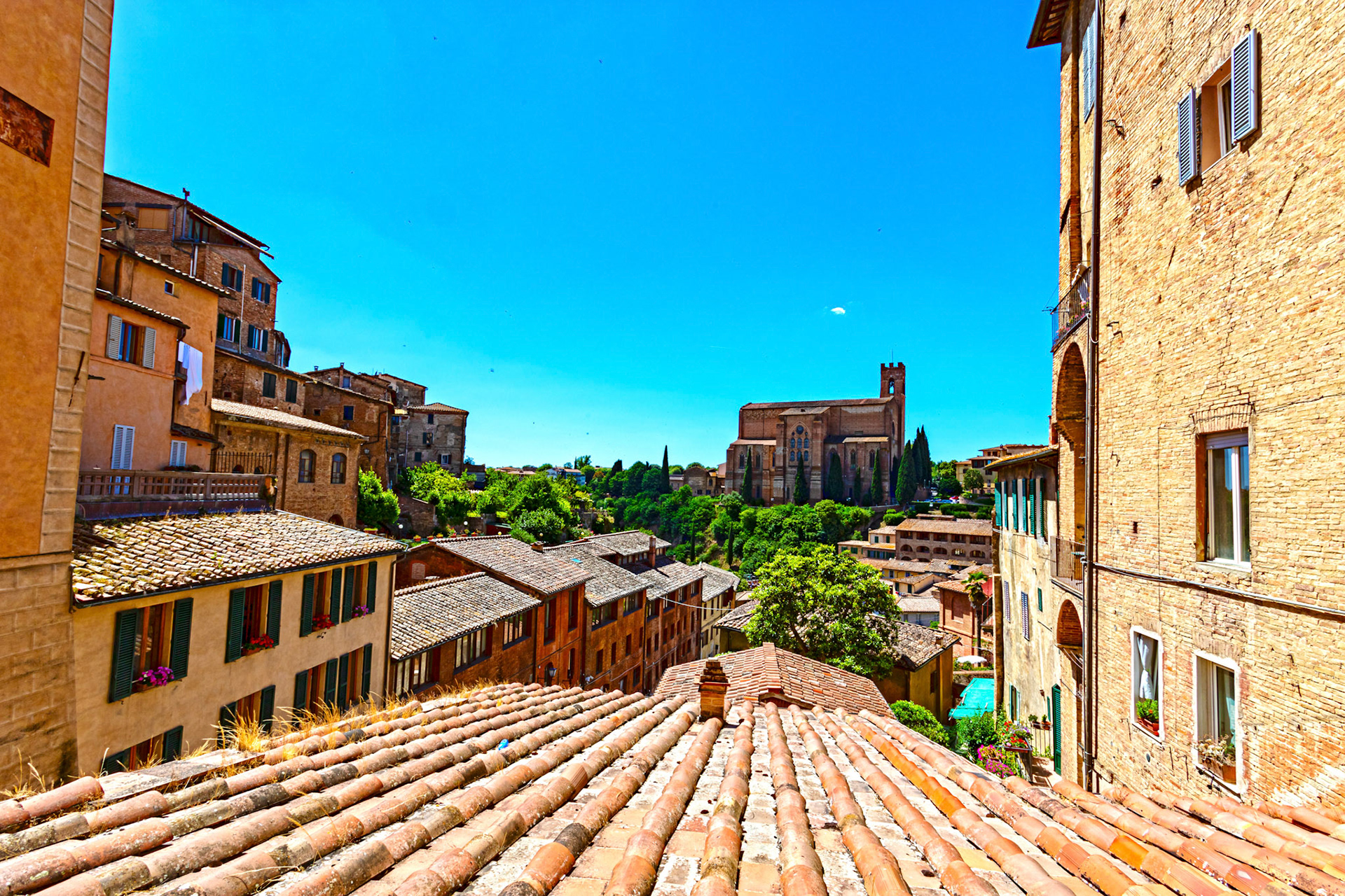 Basilica Cateriniana San Domenic - Siena 17 June 2024