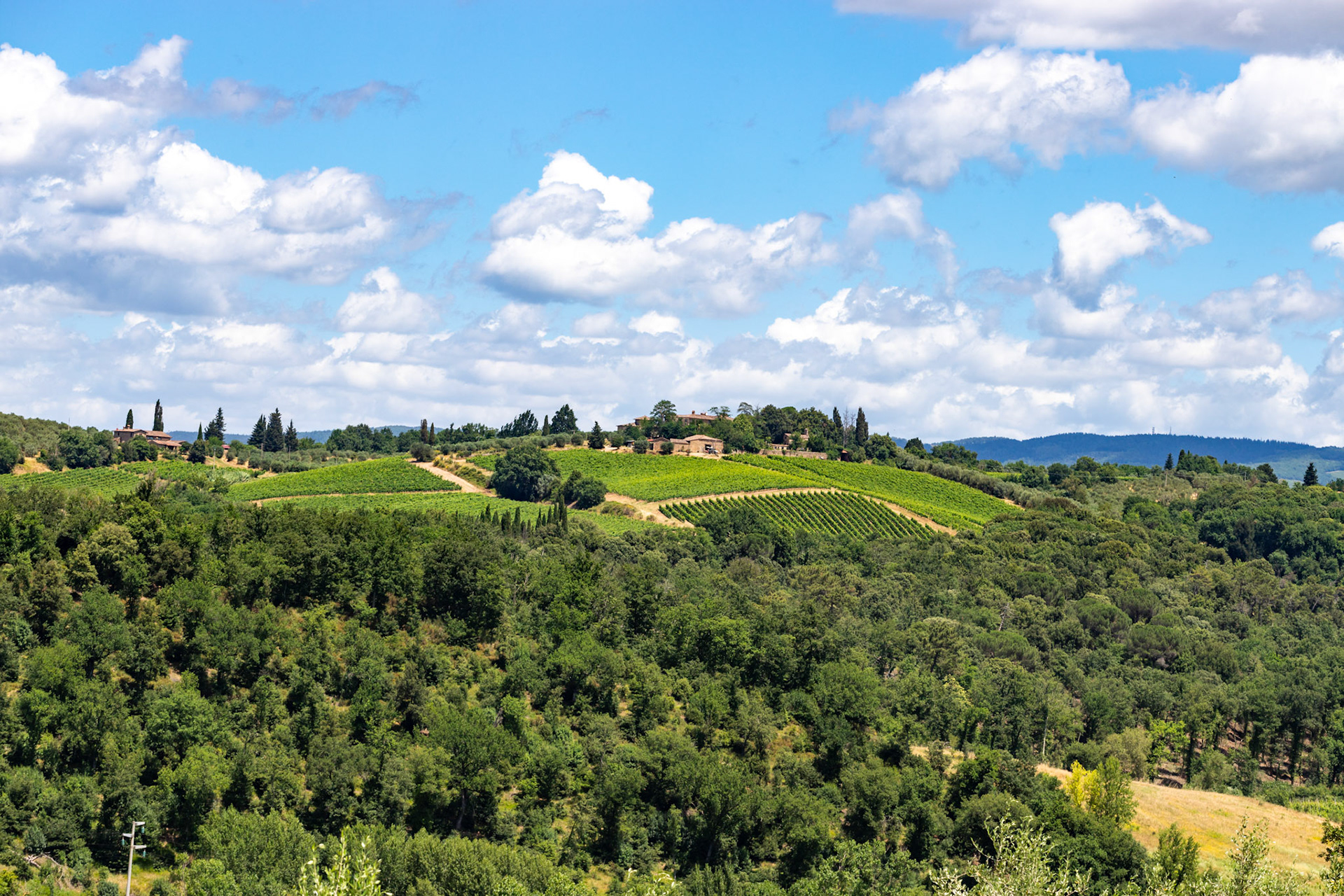 Monteriggioni 22 June 2024