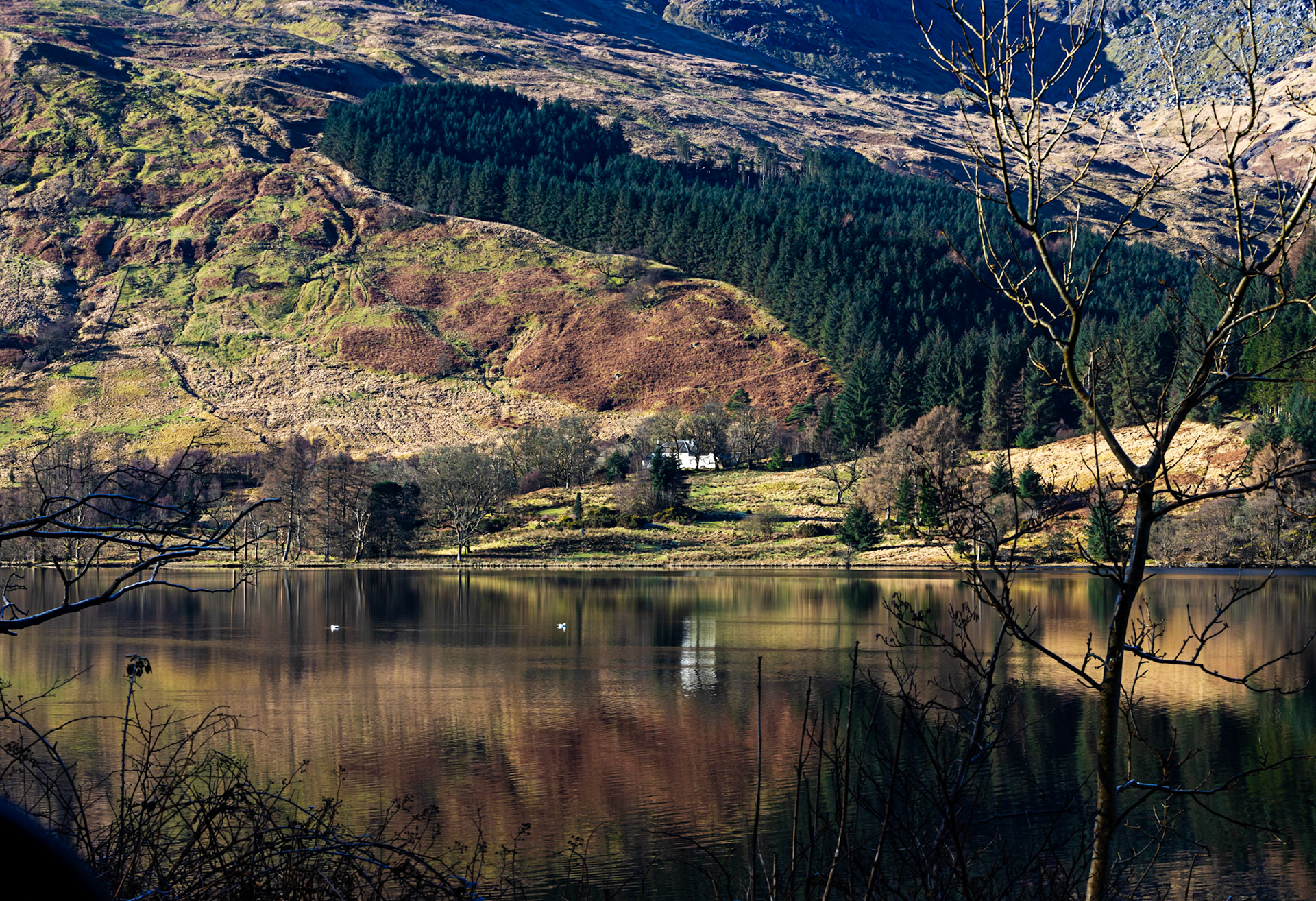 Loch Eck 26 February 2023