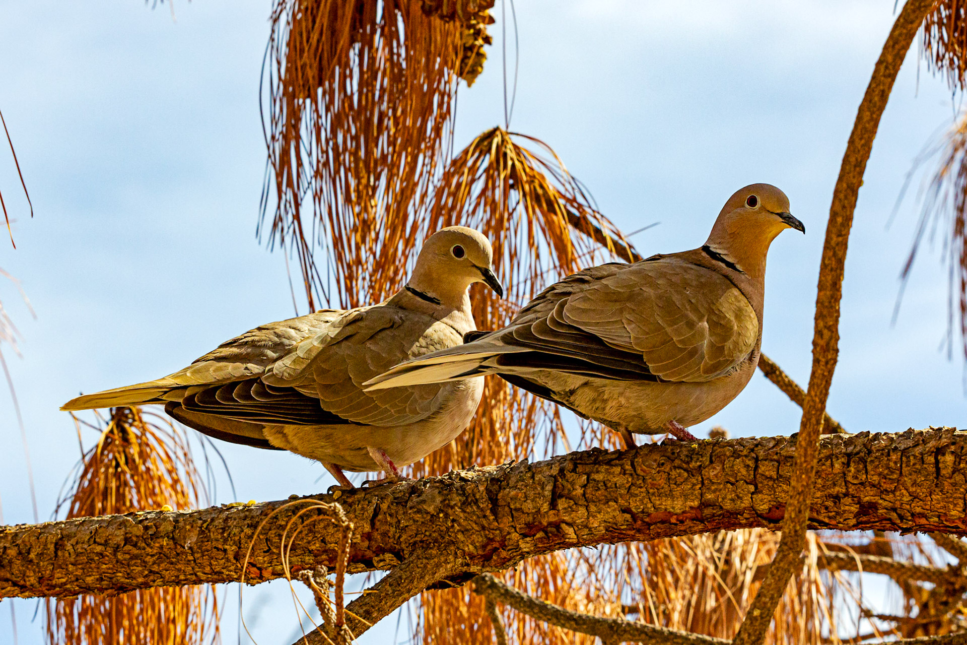 Alicante 17 March 2024