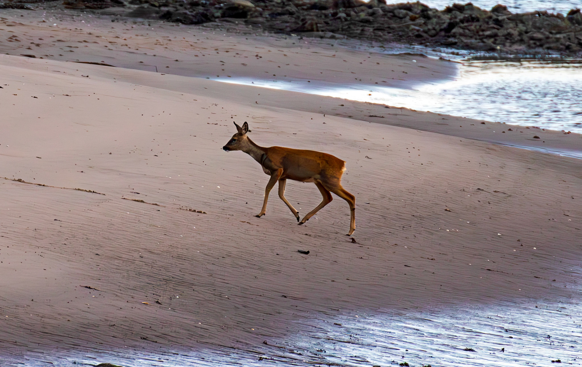 Irvine Sea Front 01 October 2024