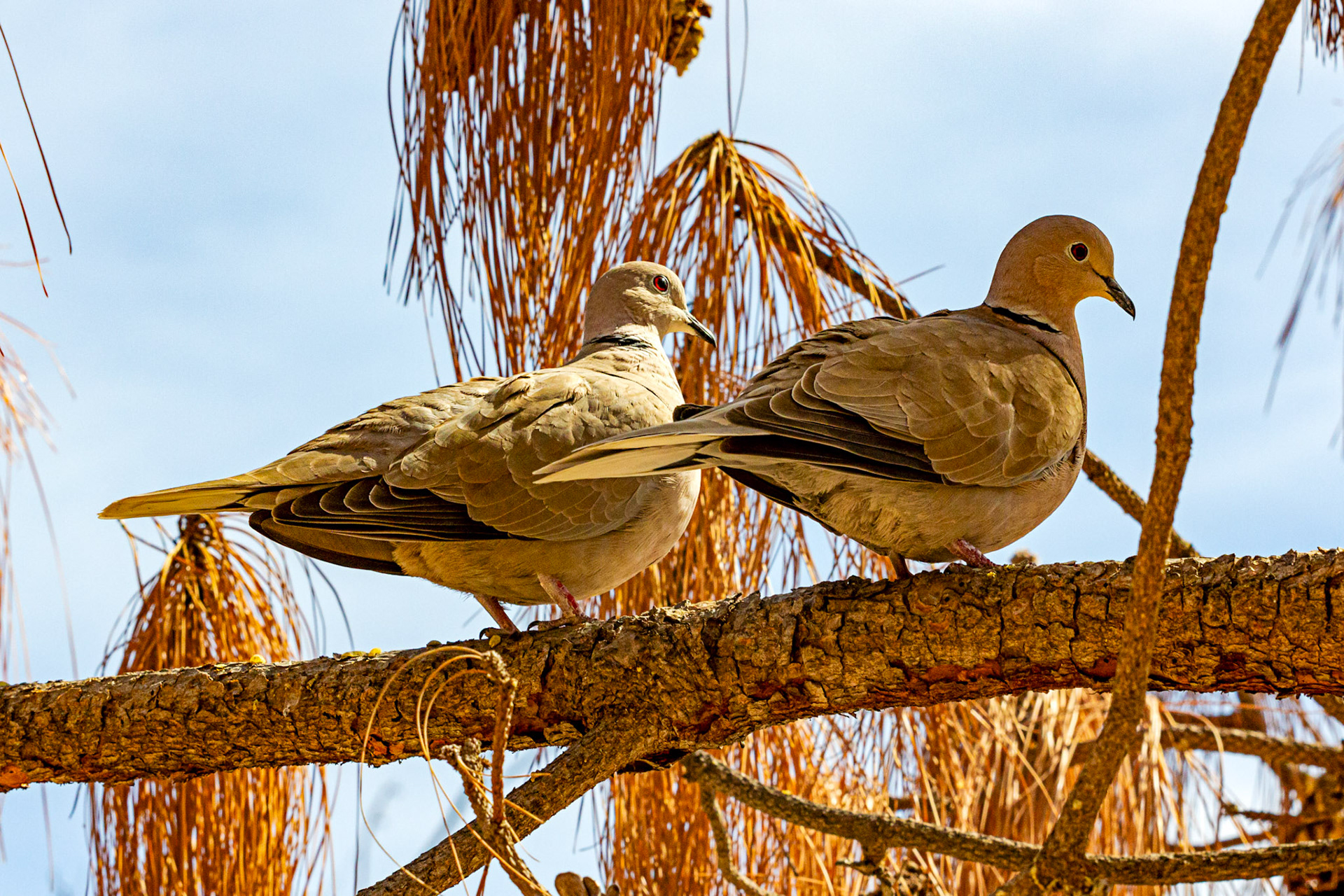 Alicante 17 March 2024