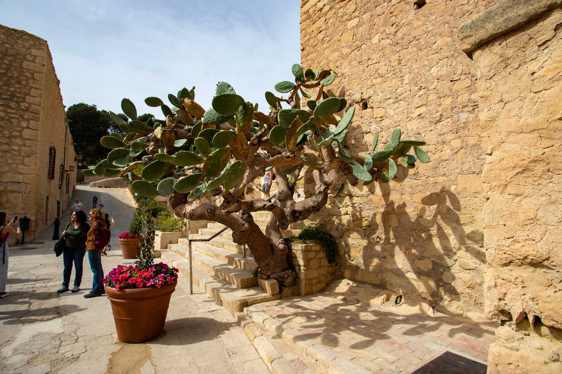 Santa Bárbara Castle, Alicante 20 March 2024