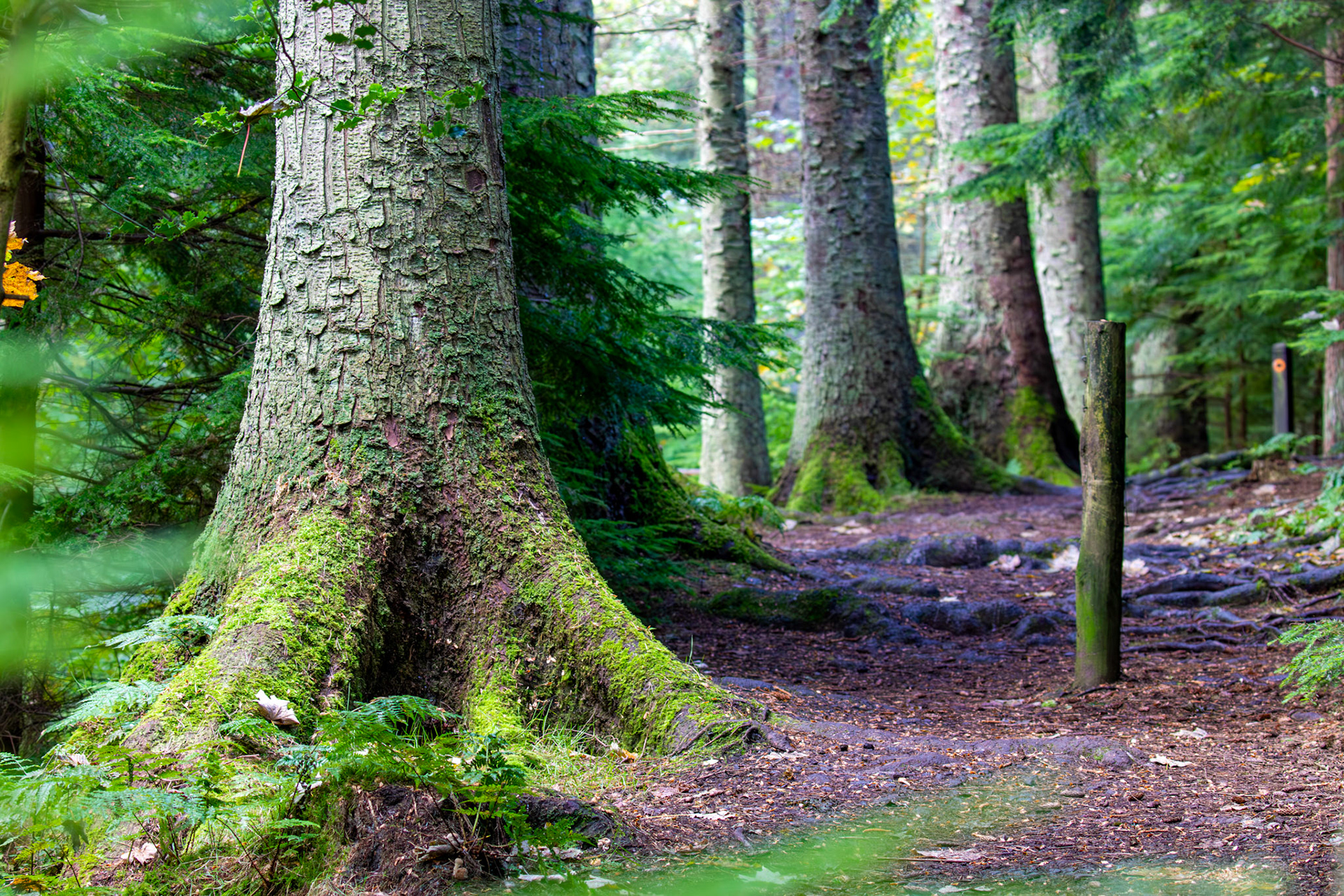 Beecraigs 24 September 2024