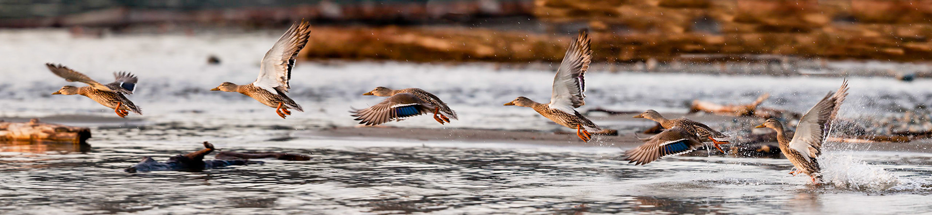 Taking off