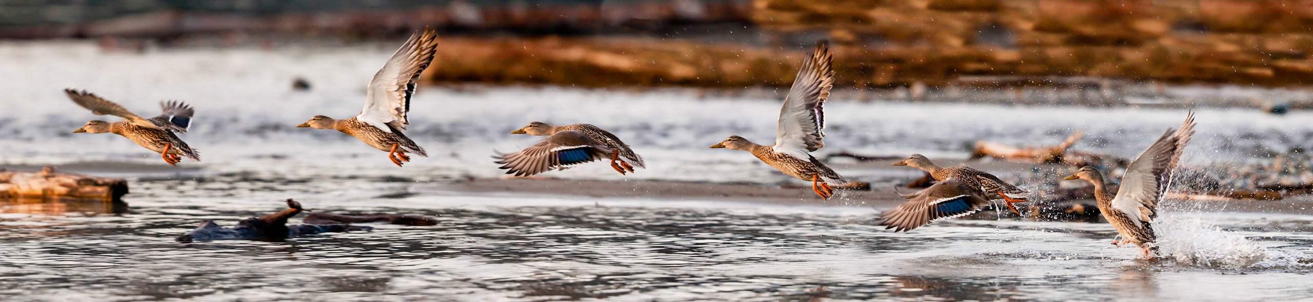 Taking off
